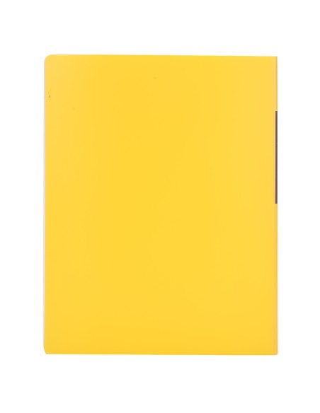 Display Book DELI A4-60 pages ASST.