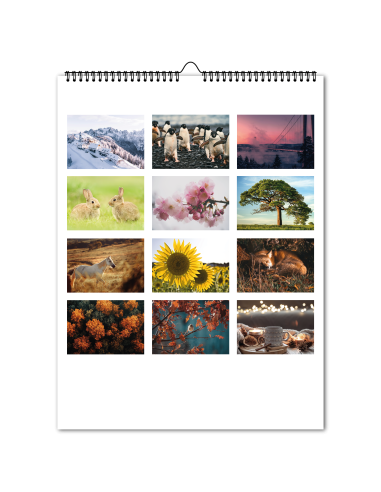Seinakalender Fotokalender A3 College 2026