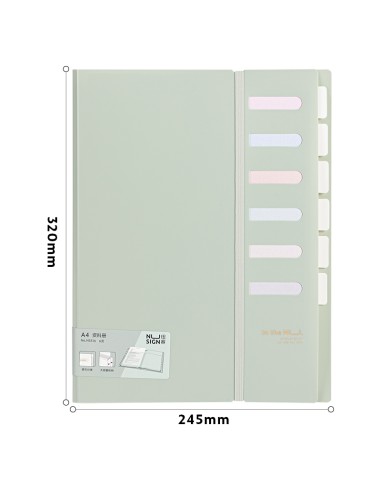 Esitluskaaned DELI 6-lehte, indeksitega, pastell assortii