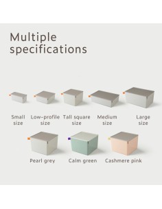 Nusign Desktop Storage 212*212*153mm Pink 2