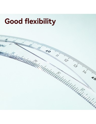 Ruler 30cm TRANSPARENT