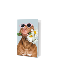 Postcard  - Dog with flowers