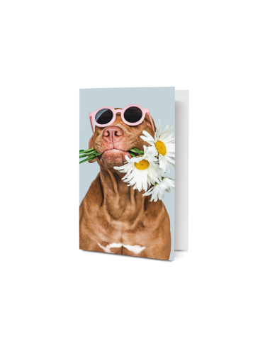 Postcard  - Dog with flowers