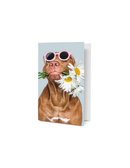 Postcard  - Dog with flowers