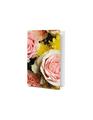 Postcard  - Pink roses