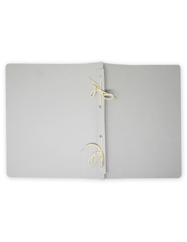 Cardboard folder T2PA4SP with print 2-bands