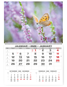 Wall calendar College UNO EE-LV-LT Local+English 2026 no.7