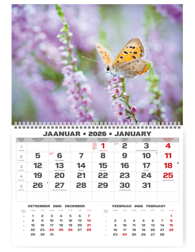 Wall calendar College UNO EE-LV-LT Local+English 2026 no.7