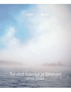 Kaustik Motik 170 x 203 mm, ruuduline