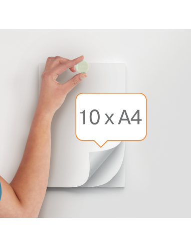 Magnet 38mm 10pcs white