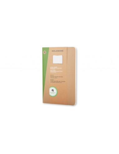 Märkmik Moleskine Evernote 13x21cm, ruuduline, pehmed kaaned, 2tk/pk pruun