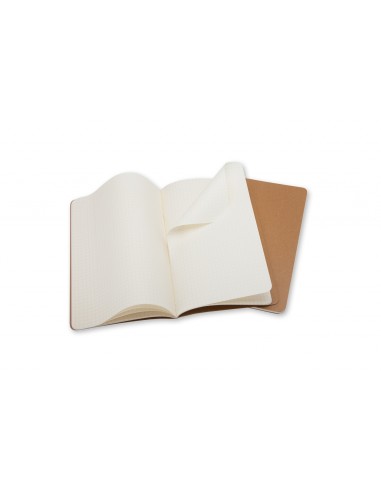 Märkmik Moleskine Evernote 13x21cm, ruuduline, pehmed kaaned, 2tk/pk pruun