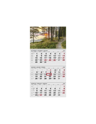 Seinakalender Timer TRIO MAXI nr.4