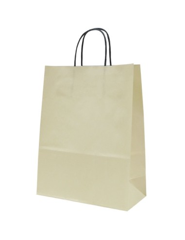 Spiraal pabersangadega elevandiluu värvi paberkott 24+11x31cm