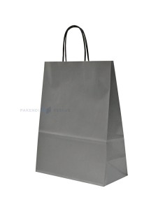 Spiraal pabersangadega hõbedane paberkott 24+11x31cm