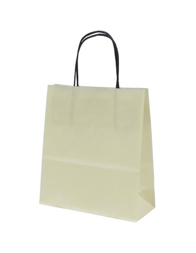 Spiraal pabersangadega elevandiluu värvi paberkott 19x8x21cm