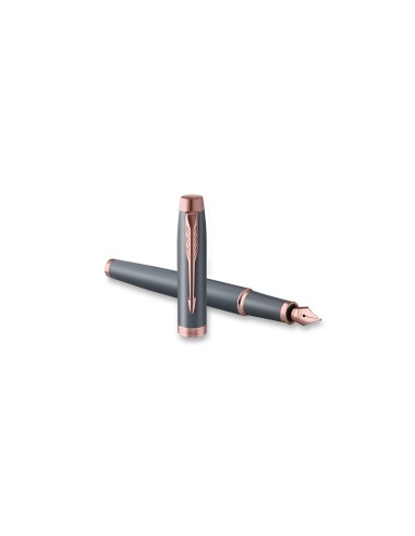 Parker IM Slate PGT Fountain Pen, F, Blue Ink