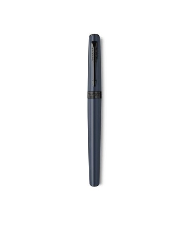 Parker Meridian Blue BT Fountain Pen F Blue Ink