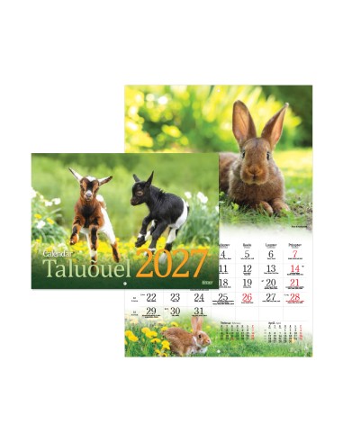 Pildikalender Timer Taluõuel