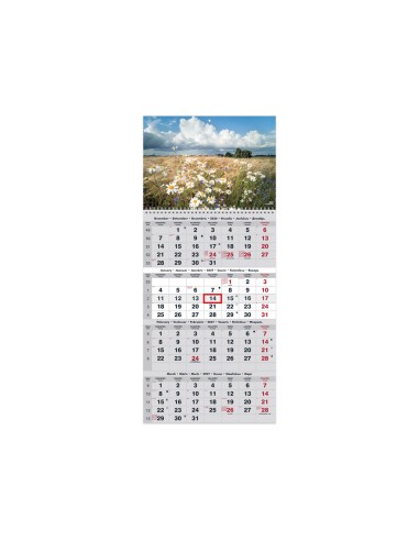 Seinakalender Timer QUATTRO nr.3