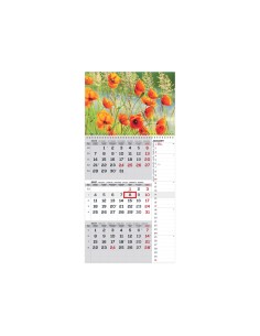 Seinakalender Timer TRIO INTERNATIONAL nr.9
