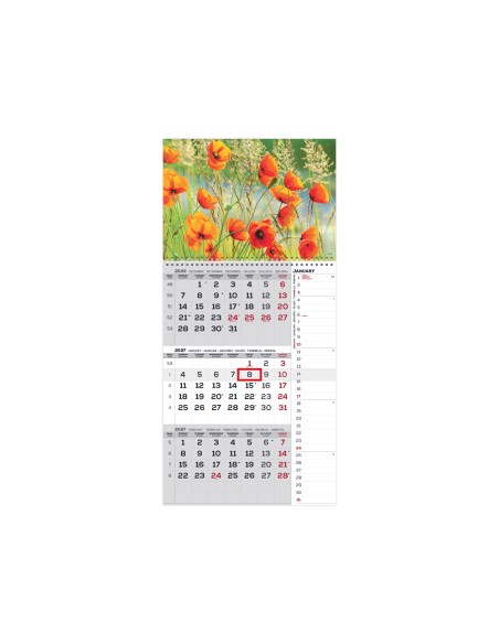 Seinakalender Timer TRIO INTERNATIONAL nr.9