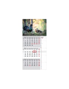 Seinakalender Timer TRIO INTERNATIONAL nr.10