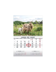 Seinakalender Timer MONO eesti-inglise nr.19