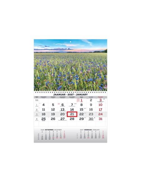 Seinakalender Timer MONO eesti-inglise nr.22