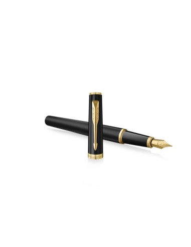 Parker Meridian Fountain Pen Fine black/gold