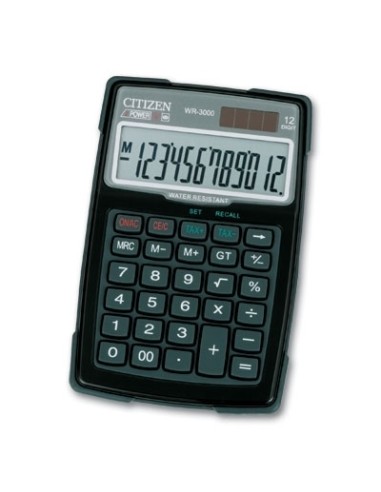Citizen WR-3000