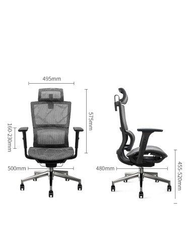Office Chair Deli W69*D61*H112-118 Deli