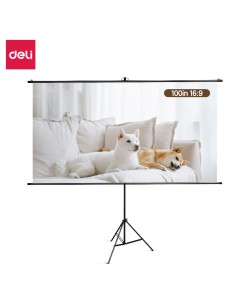 Projector Screen DELI 2200*1245mm±20mm thickness:0.40mm±0.02mm white