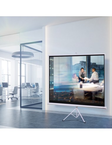 Projector and its accessories Deli 100´(Diagonal length);Screen ratio: 4:3；Size: 197 Deli