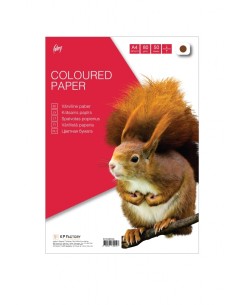 Koopiapaber College A4/80g/50L, pruun