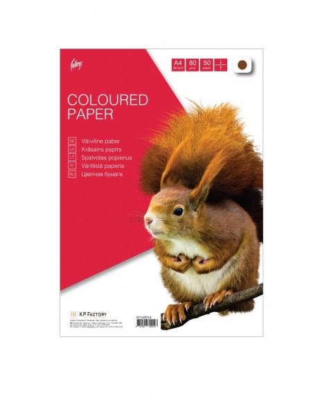 Koopiapaber College A4/80g/50L, pruun