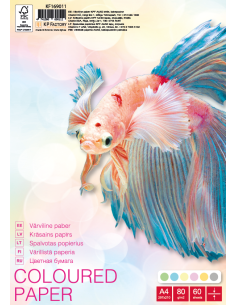 Colored paper KPF College A4/60 sheets, loose sheets, 6 colors x 10 sheets