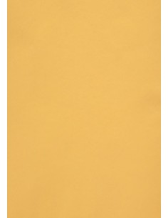 Design Paper Curious translucents gold A4/100gr/50L