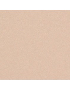Design Paper Curious Metallics Nude A4/120gr/50sh