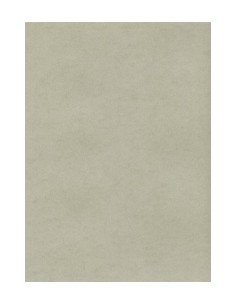 Visit card paper Kreska A4/20sh W72 silver 235gr
