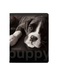 Kaustik Bruno Visconti A5/48L Sweet Puppy 2 5x5ruut