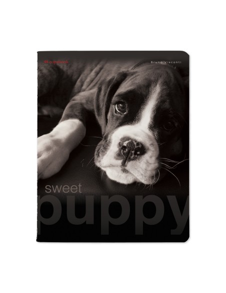 Kaustik Bruno Visconti A5/48L Sweet Puppy 2 5x5ruut