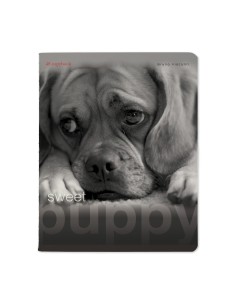 Kaustik Bruno Visconti A5/48L Sweet Puppy 3 5x5ruut