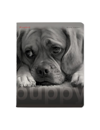 Kaustik Bruno Visconti A5/48L Sweet Puppy 3 5x5ruut