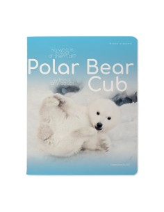 Kaustik Bruno Visconti A5/48L Polar Bear Cub 1 5x5ruut