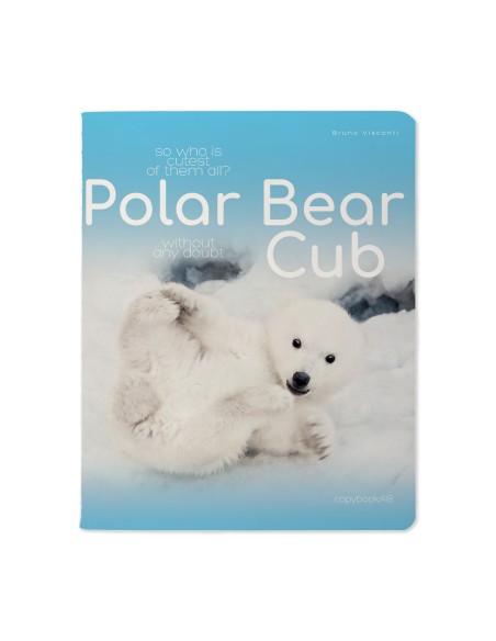 Kaustik Bruno Visconti A5/48L Polar Bear Cub 1 5x5ruut