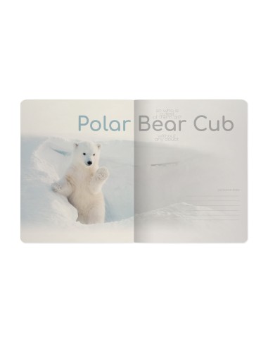 Kaustik Bruno Visconti A5/48L Polar Bear Cub 1 5x5ruut