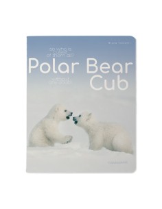 Kaustik Bruno Visconti A5/48L Polar Bear Cub 2 5x5ruut