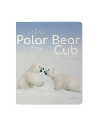 Kaustik Bruno Visconti A5/48L Polar Bear Cub 2 5x5ruut