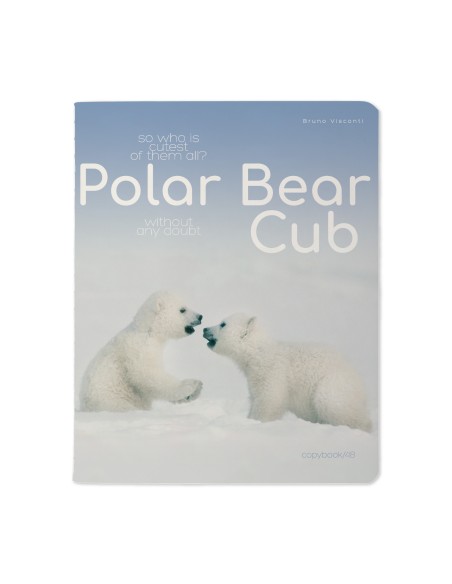 Kaustik Bruno Visconti A5/48L Polar Bear Cub 2 5x5ruut